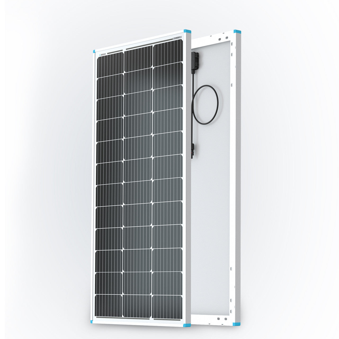 Renogy 100W solar panels shown from the front and back on a white background