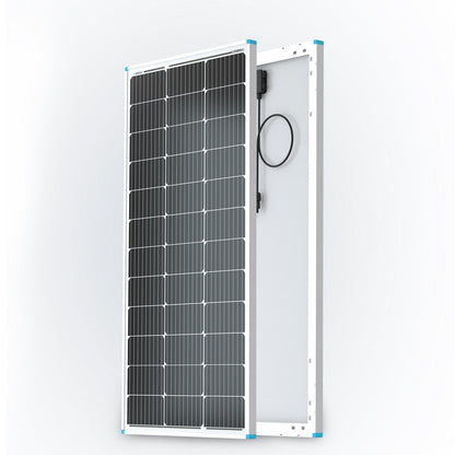 Renogy 100W solar panels shown from the front and back on a white background