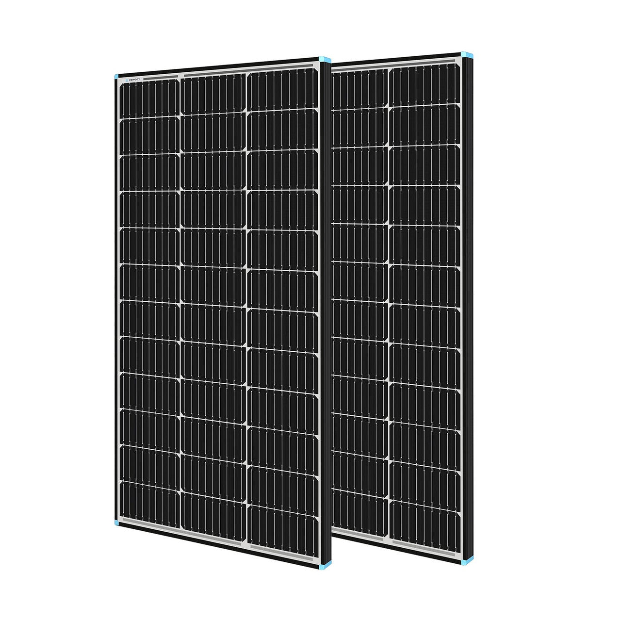 Pair of Renogy 100W solar panels shown together from the front