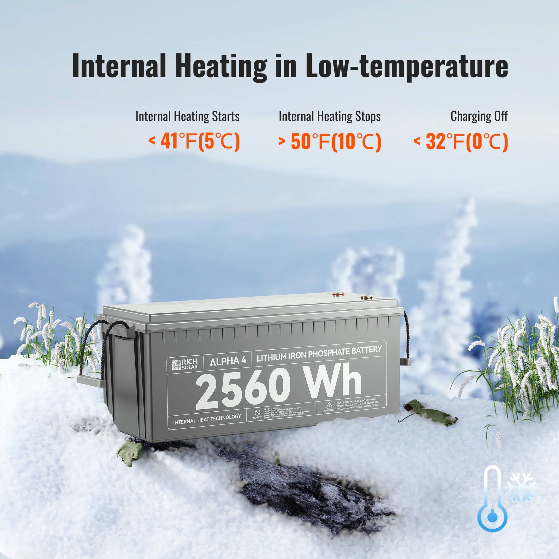 RICH SOLAR ALPHA 4 24V 100Ah LiFePO4 Battery product image 6