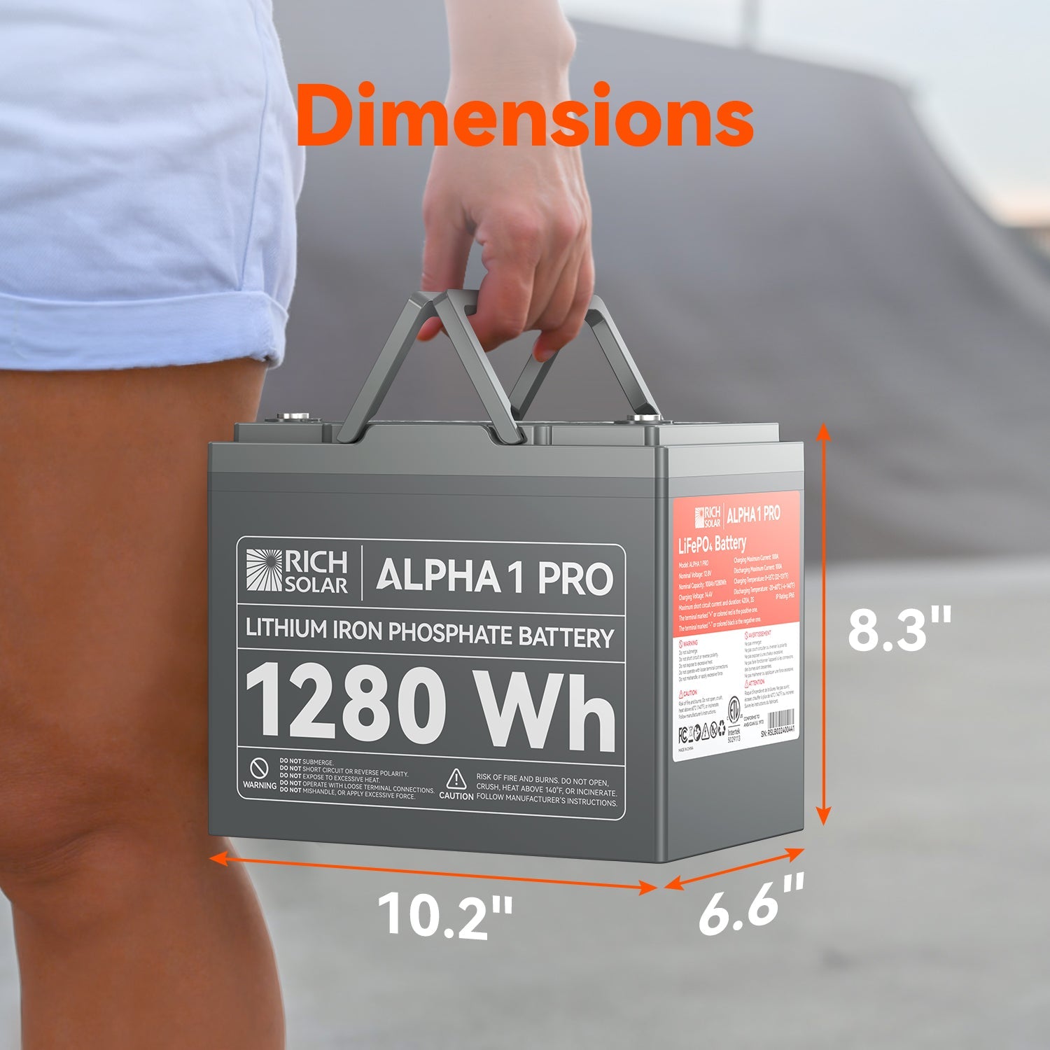 RICH SOLAR ALPHA 1 PRO 12V 100Ah LiFePO4 Battery product image 4