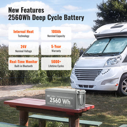 RICH SOLAR ALPHA 4 24V 100Ah LiFePO4 Battery product image 5