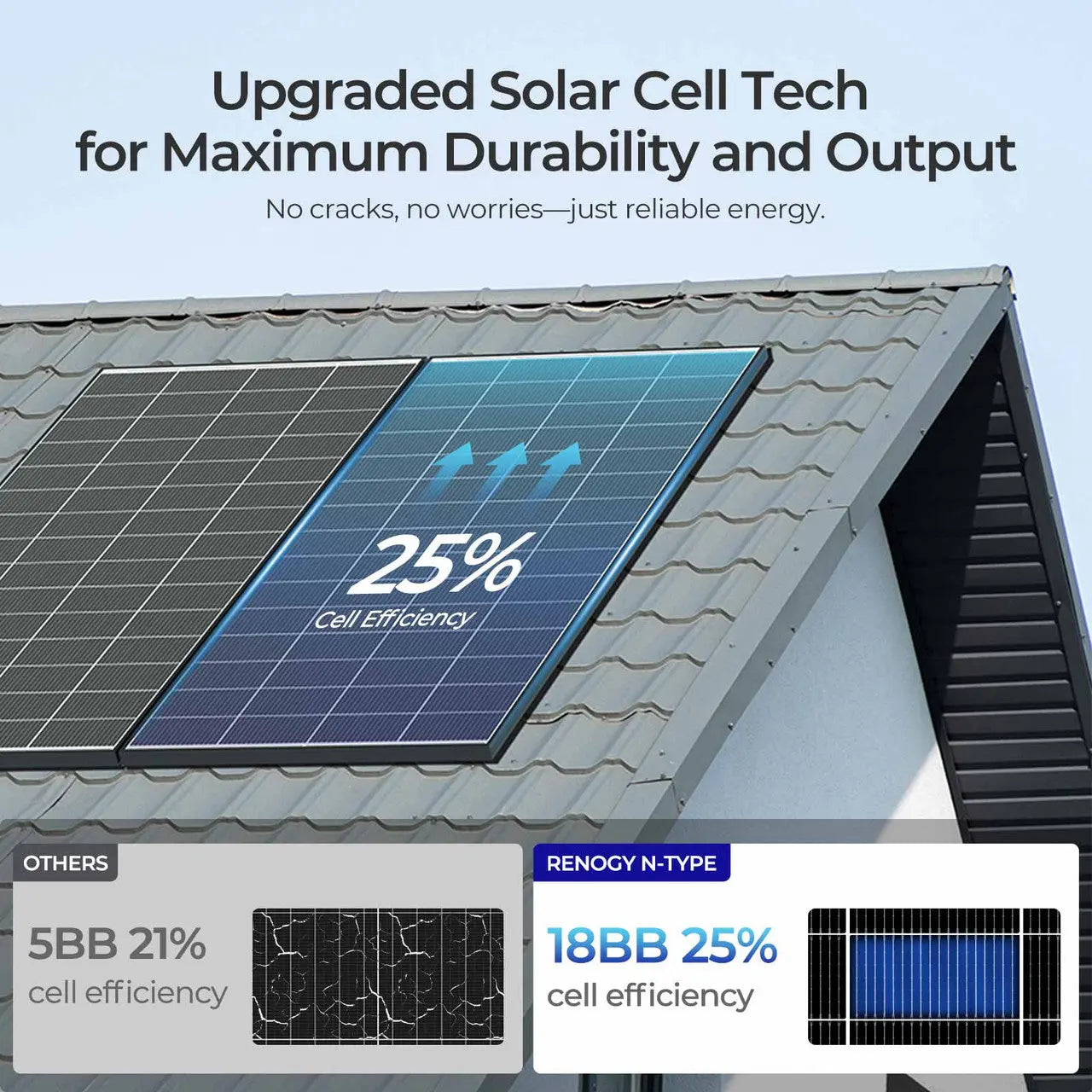 Renogy 320W N-Type Monocrystalline Solar Panels (2–10 Pack)